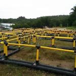 Semi Open Sea Anti Wind Fish Farming Net Cage In Green Or Yellow Color