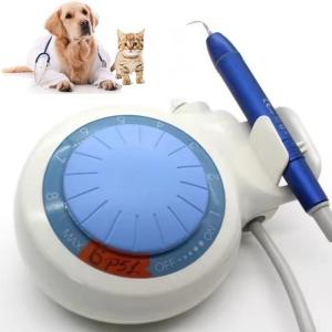China Dental Teeth Clean Device Ultrasonic Dental Scaler LED Pets Dental Ultrsonic Scaler factory