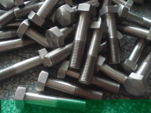 China incoloy 825 925 6mo fasteners bolt nut gasket screw factory