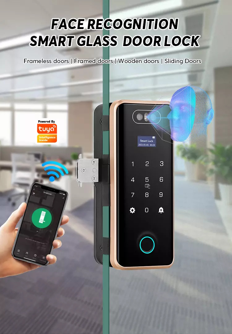3D Face Recognition Digital Door Lock With Camera Fingerprint ODM