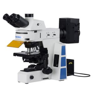 China Trinocular APO Led Fluorescent Microscope PL10x22mm Trinocular Head factory