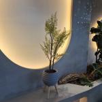 Realistic Artificial Plastic Plants for Outdoor Decor