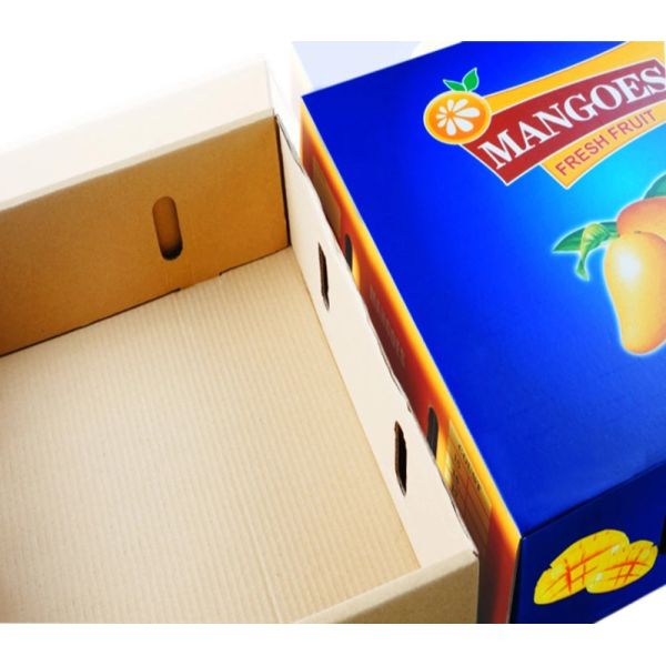 Better Price Quality Good Custom Printing Corrugated Fruit Mango Packing Shipping Boxes